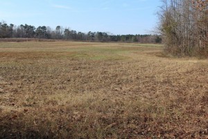 67 ac- portion of south central farmland 1